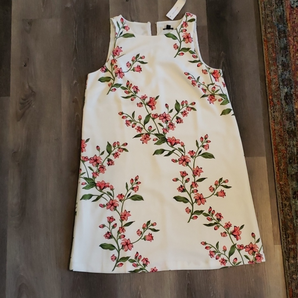 Ann Taylor dress